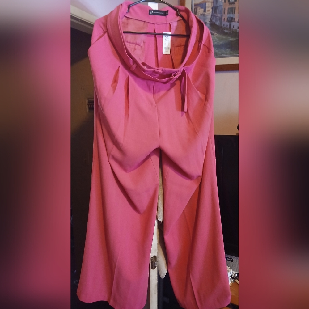 New York & Company Chic Pink Pants
